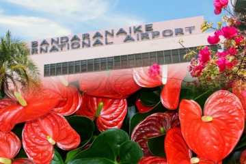 10 இலட்சம் ரூபாய் பெறுமதியுடைய அந்தூரியம் செடிகள் பறிமுதல்!