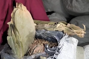 தூத்துக்குடியில் இருந்து இலங்கைக்கு கடத்த முயன்ற பல லட்சம் பெறுமதியான பீடி இலைகள் (video)