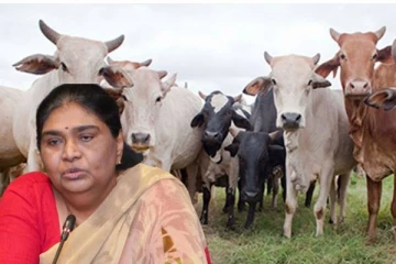 வடக்கு ஆளுநரின் கண்டிப்பான உத்தரவு : தவறின் சட்ட நடவடிக்கை