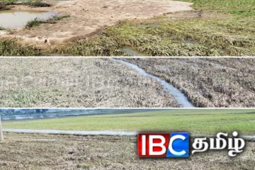 முற்றுமுழுதாக பாதிப்படைந்துள்ள மட்டக்களப்பின் விவசாய நிலங்கள்