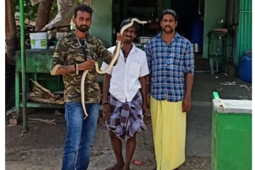 ஹோட்டலுக்குள் வந்த பாம்பு - அலறி அடித்து ஓடிய மக்கள்!