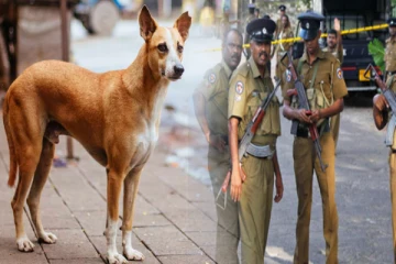 நாயால் காவல்துறை அதிகாரிக்கு நேர்ந்த அவலம்!