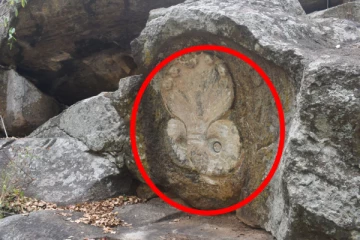 நாகதம்பிரான் ஆலயம் சப்த நாக விகாரையாக மாற்றம்; காவல் தெய்வம் கைவிட்டு போனதே !