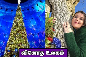 துபாயில் 65 அடி உயர கிறிஸ்துமஸ் மரம்! காதலர் சம்மதத்துடன்  மரத்தை திருமணம் செய்த பெண்.. வினோத உலகம்