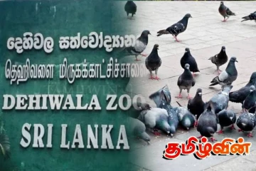 தேசிய மிருகக்காட்சிச்சாலையில் கைவரிசை காட்டிய திருடர்கள்