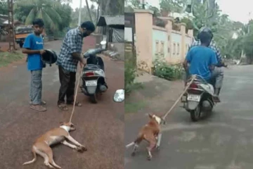 செருப்பைக் கடித்ததால் ரத்தம் சொட்ட சொட்ட நாய்க்கு நடந்த கொடூரம் - வீடியோ வைரல்