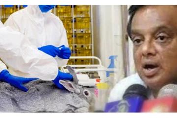 வனவிலங்குகள் தொடர்பில் எடுக்கப்பட்ட நடவடிக்கை