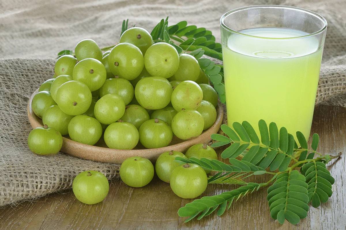 வெறும் வயிற்றில் நெல்லிக்காய் சாறு குடித்தால் உடல் எடை குறையுமா? | Drink Gooseberry Juice Empty Stomach Lose Weight