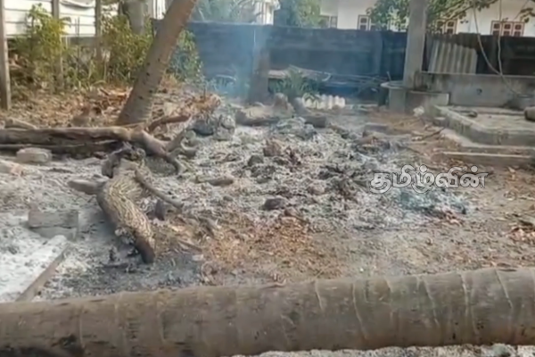 நல்லண்டை பத்திரகாளி அம்மன் ஆலயத்தில் குவிக்கப்பட்டிருந்த விறகு மீது விசமிகள் தீ வைப்பு | Fire Set On Pile Of Firewood Piled Up In Temple