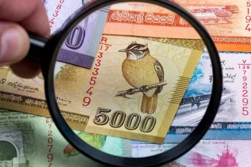 உள்நாட்டு கடன் மறுசீரமைப்புக்கு செல்ல அரசாங்கம் திட்டம்