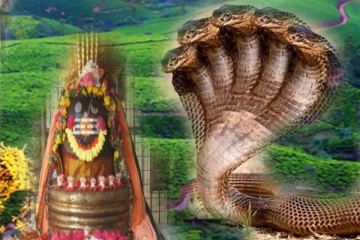 5 தலை நாகம் பாதுகாக்கும் சிவன் கோயில்; ஆச்சர்யப்படவைத்த தகவல்!