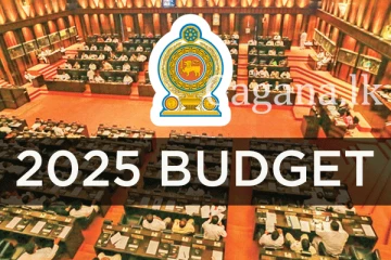 2025 වසරට අතුරු සම්මත ගිණුමෙන් මුදල් වෙන්කර ඇති ආකාරය මෙන්න.