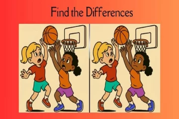 கூடைப்பந்து விளையாடும் பிள்ளைகள்: படத்தில் இருக்கும் 3 வித்தியாசங்கள் என்ன?