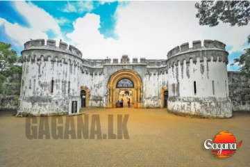 බෝගම්බර බදු දීමට යයි