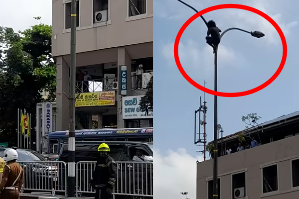 கொழும்பில் மின் கம்ப உச்சிக்கு ஏறிய இளைஞனால் பரபரப்பு! | Man Climbed Top Of An Electricity Pole In Colombo