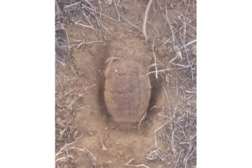 குச்சவெளி பிரதேசத்தில் கைக்குண்டு மீட்பு (PHOTO)