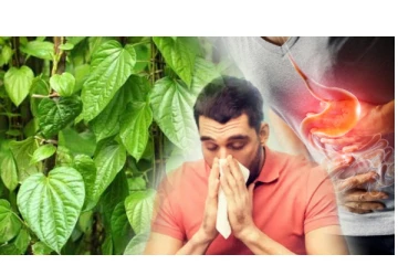 வெற்றிலை சாப்பிட்டால் இவ்வளவு நன்மைகள் கிடைக்குமா?