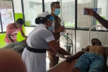 குளவிகள் கொட்டியதினால் 20 பேர் பாதிப்பு