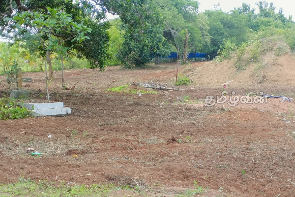வவுனியாவில் மயான அபிவிருத்தி பணியில் குழப்பநிலை(Photos) | Confusion During Development Work In Vavuniya