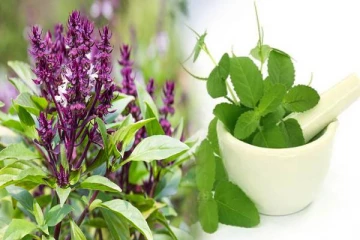 துளசியின் அருகில் இதையெல்லாம் வைக்காதீர்கள்... துர்திஷ்டத்தை ஏற்படுத்துமாம்!