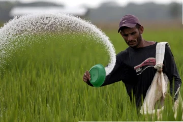 உர நெருக்கடியை விளக்க கிராமங்களுக்கு சென்று அடி வாங்க முடியாது - ஆளும்கட்சி எம்.பி தெரிவிப்பு