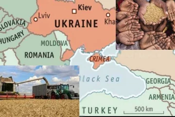 உக்ரைனின் தானிய ஏற்றுமதிக்கு தடை விதிக்கும் நாடுகள்! அதிகரிக்கும் நெருக்கடி