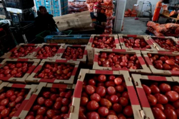 புதிய தக்காளிக்கு 17% வரி! டிரம்ப் வரி கொள்கை கீழ் மெக்சிகோ மீது அமெரிக்கா நடவடிக்கை