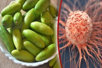 புற்றுநோய்க்கு மருந்தாகும் கோவைக்காய்- யாரெல்லாம் சாப்பிடலாம்?