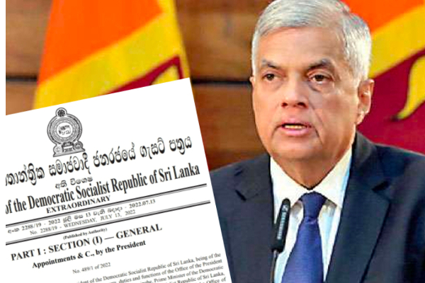 இறக்குமதி - ஏற்றுமதி கட்டுப்பாட்டு விதிமுறை : சிறப்பு வர்த்தமானி வெளியீடு | Import Export Control Regulation Special Gazette