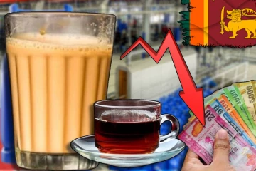 தேநீர் மற்றும் பால் தேநீரின் விலை ஐந்து ரூபாயால் குறைப்பு