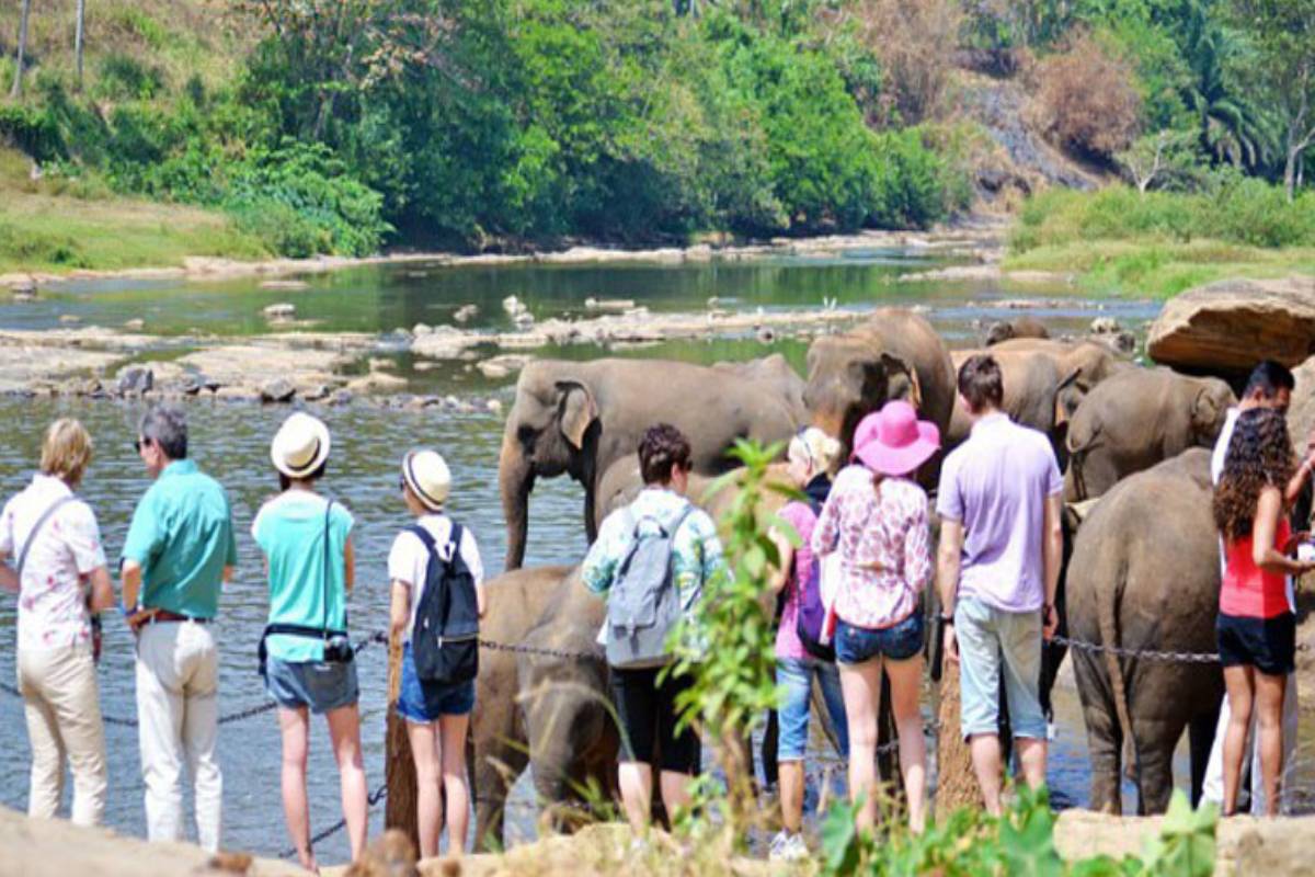 13 நாட்களில் இலங்கை முழுவதும் குவிந்த சுற்றுலாப் பயணிகள் - அரசாங்கம் வெளியிட்ட மகிழ்ச்சி தகவல் | Tourist Arrivals Have Crossed 1 5 Million 13 நாட்களில் இலங்கை முழுவதும் குவிந்த சுற்றுலாப் பயணிகள் - அரசாங்கம் வெளியிட்ட மகிழ்ச்சி தகவல் | Tourist Arrivals Have Crossed 1 5 Million