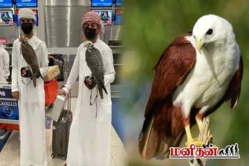 பருந்துக்கு தனி பாஸ்போர்ட் - எந்த நாட்டில் தெரியுமா?