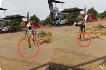 Snake: விஷப்பாம்பை வைத்து விளையாடிய நபர்! கடைசியில் கடி வாங்கிய சோகம்