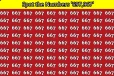Optical illusion: பல “667” களில் இரு வித்தியாச எண்களான “697, 967” கண்டுபிடிக்க முடியுமா?
