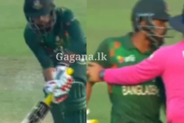 සිංහයින්ට සද්දෙ දැම්ම තව්හිඩ් රිඩෝයිට ලැබුණ හිතන්නවත් බැරි දඬුවම.. (PHOTOS)