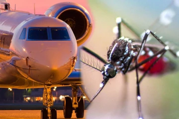 விமானத்தை நிறுத்திய கொசுக்கள்.! புகைமூட்டமான கேபின்., மூச்சுத்திணறிய பயணிகள்