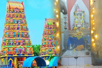 பங்குனி உத்தர விழாவிற்கு தயாராகும் புளியம்பொக்கணை நாகதம்பிரான்