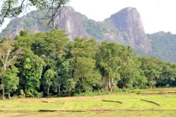 நில்கல வனப்பகுதி தொடர்பில் வௌியாகவுள்ள முக்கிய அறிவிப்பு