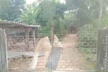 முன்னாள் பிரதேச சபை உறுப்பினர் ஒருவரின் வீட்டில் வன்முறை கும்பல் தாக்குதல்! (Photos)