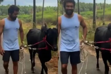 என் தமிழ் , கையில் காளை  அசத்தலாக தமிழ் புத்தாண்டு வாழ்த்து சொன்ன சூர்யா