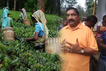 மூன்றாவது நாளாக தொடரும் பெருந்தோட்ட தொழிலாளர்களின் உண்ணாவிரத போராட்டம்