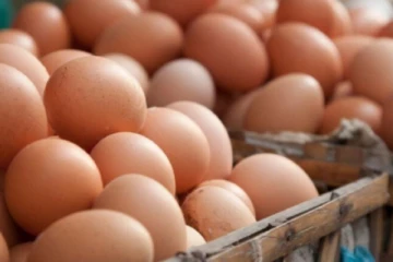 ඉන්දියාවෙන් තවත් බිත්තර තොගයක්..