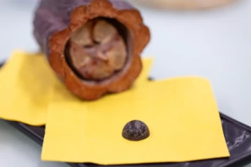 ஆய்வகத்தில் தயாராகும் கொக்கோ... உலகை மாற்ற விரும்பும் சுவிஸ் ஆய்வாளர்கள்