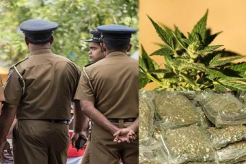 வல்வெட்டித்துறையில் 50 கிலோவிற்கும் அதிகமான கஞ்சா மீட்பு