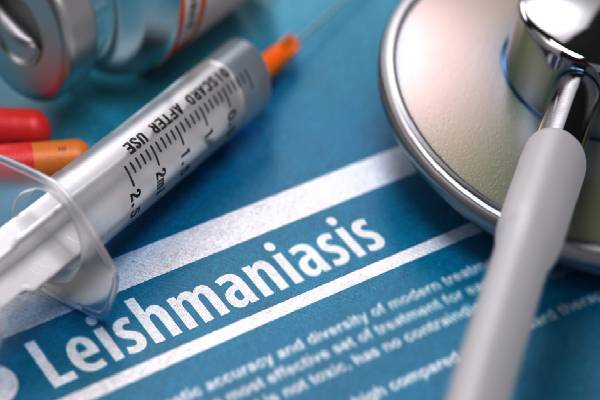 leishmaniasis-symptoms: லீஷ்மேனியாசிஸ் என்றால் என்ன? இந்த அறிகுறிகள் இருந்தா ஜாக்கிரதை! | Kalaazar Visceral Leishmaniasis Symptoms In Tamil