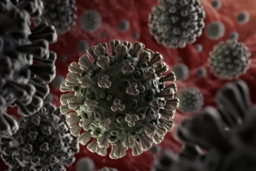 கொரோனா வைரஸ் எங்கள் நாட்டிலிருந்து பரவவில்லை .. ஆதாரத்தை வெளியிடும் சீன விஞ்ஞானி!