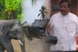 அதிகரித்துள்ள காட்டு யானைகளின் அத்துமீறல்களுக்கு உடனடித் தீர்வு தேவை; ரவிகரன் எம்.பி வலியுறுத்தல்