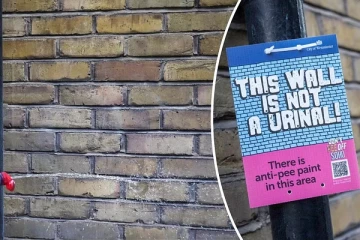 இனி சுவற்றில் சிறுநீர் கழித்தால் அவ்வளவுதான்!!! லண்டன் மக்களின் புதிய யுக்தி