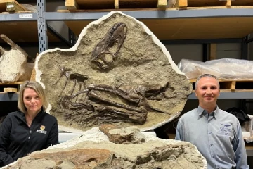 கனடாவில், 75 மில்லியன் ஆண்டுகளுக்கு முன்னர் வாழ்ந்த மிருகத்தின் உடல் பாகங்கள் மீட்பு