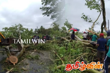 வீதியால் பயணித்த தாய், தந்தை, மகளுக்கு நேர்ந்த கதி